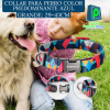 Imagen de Collar de Perro. Azul Tamaño Mediano 29-43cm