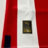 Imagen de Camiseta Oficial de Paraguay Albirroja-Puma